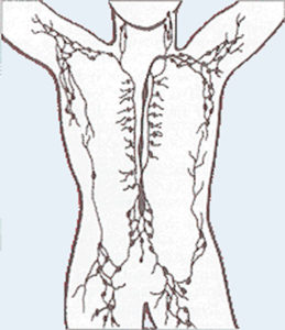 Lymph-259x300